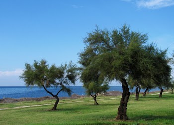 SicilyCN_0741.jpg