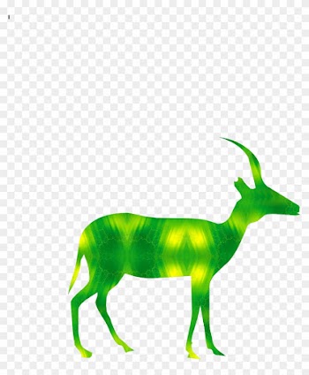 Sick Deer By Project Wild Nature - Sick Deer By Project Wild Nature
