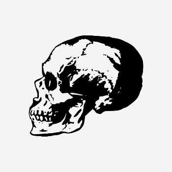 Side skull collage element, vintage | Free PSD Illustration - rawpixel