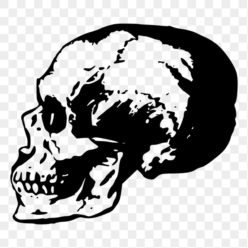 Side skull png sticker illustration, | Free PNG - rawpixel