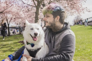 Side View Photo of Smiling Man with Colorful Hair Sitting with White Siberian Husky at a Park
