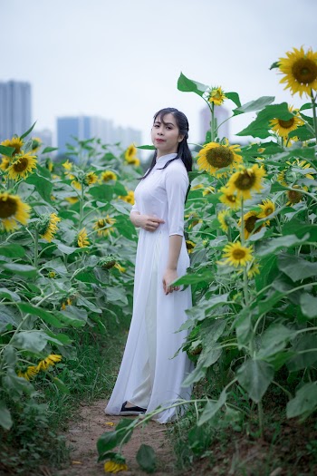Side View Photo of Woman in a White Dress Standing in the Middle of a Sunflower Field