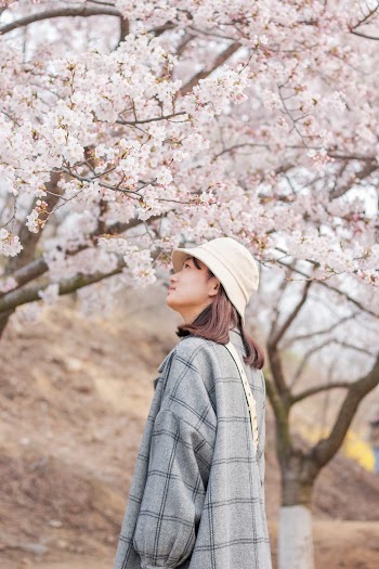 Side View Photo of Woman in Bucket Hat and Gray Coat Standing Near Pink Cherry Blossom Tree Looking Up