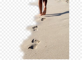 Siesta Key Beach Sand Footprints - Walking beach footprints 