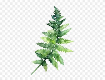 Sign In To Save It To Your Collection - Green Leaf Watercolor Png