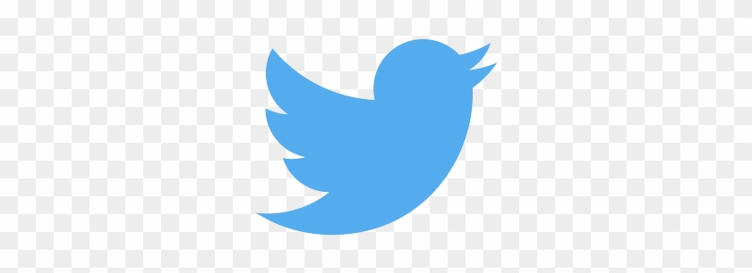 Sign Up Using Twitter - Transparent Background Twitter Logo