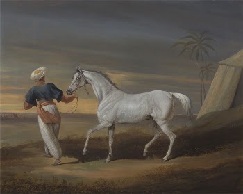 Signal, a Grey Arab, with a Groom | Free Photo - rawpixel