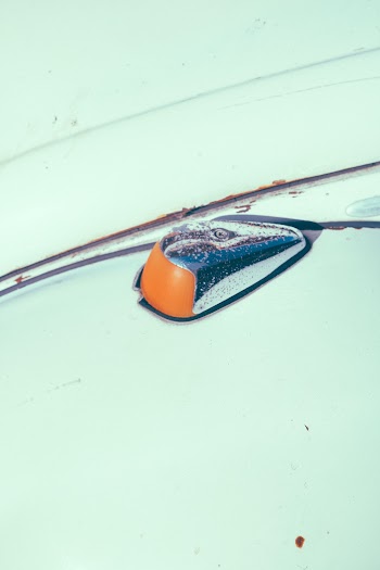 signal light of a car