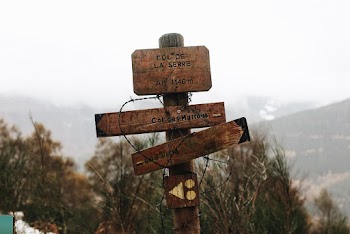 Signboards Near Trees