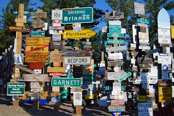 signpost_forest95.jpg