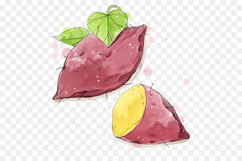 Sikhye Sweet potato Vegetable Food - Hand-painted sweet potato 