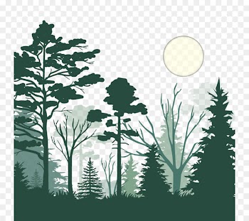 Sikkim States and territories of India Forest cover by state in India SSC Combined Graduate Level Examination - Vector forest night 