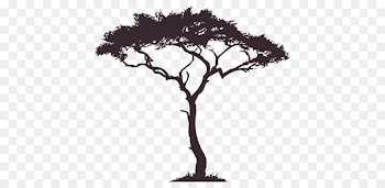 Silhouette African Trees - Silhouette 