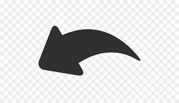 silhouette angle monochrome photography symbol dolphin - Arrow undo 