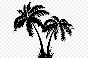 Silhouette Arecaceae Clip art - Palms Silhouette Clip Art PNG Image 