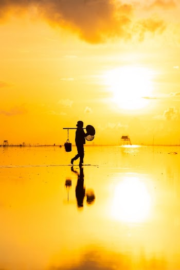 Silhouette at Golden Sunrise