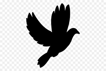 Silhouette Bird Drawing Visual arts - Silhouette 