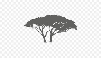 Silhouette Branch - Silhouette 