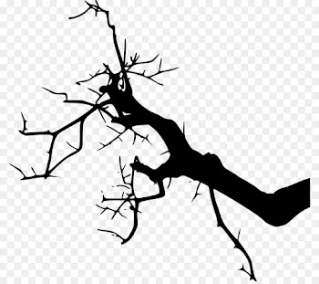 Silhouette, Branch, Twig, Organism PNG