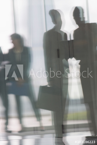 Silhouette business people working in office