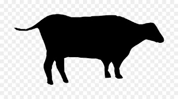 Silhouette, Cattle, Drawing, Bovine, Cowgoat Family PNG