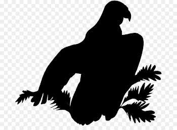 Silhouette, Child, Mother, Bird, Beak PNG
