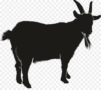 Silhouette, Computer Icons, Fotosearch, Goat, Goats PNG