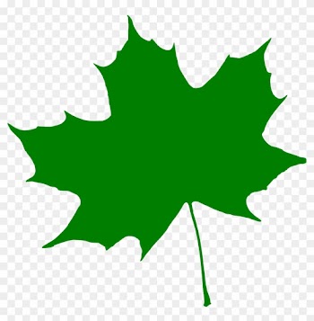 Silhouette Feuille 04 - Leaf