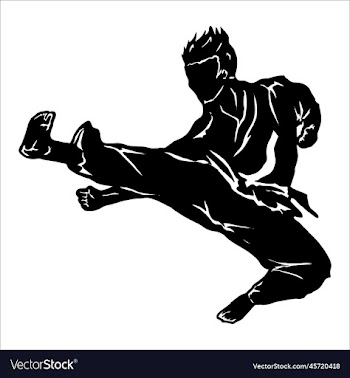 silhouette figther kick