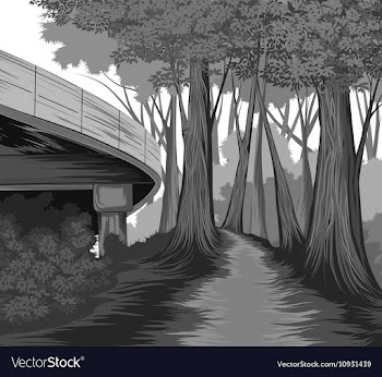 Silhouette forest side vector image