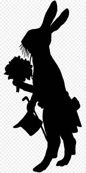 Silhouette Image Design Logo Illustration -  