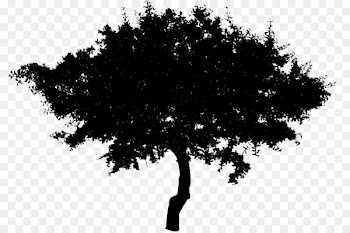 Silhouette Image Drawing stock.xchng Vector graphics -  