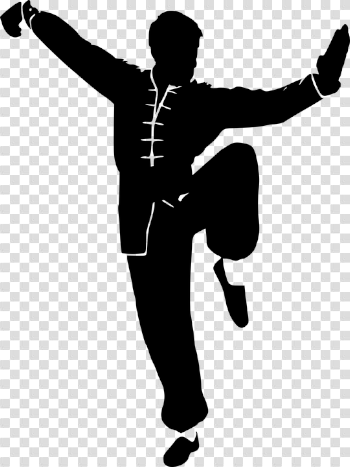 Silhouette Kung Fu Wushu - Free vector graphic on Pixabay