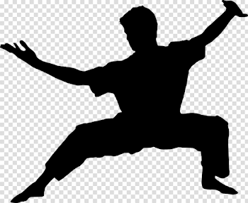 Silhouette Kung Fu Wushu - Free vector graphic on Pixabay