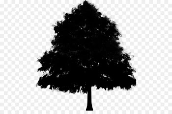 Silhouette Leaf -  