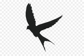Silhouette Mockingbird Swallow - Silhouette 
