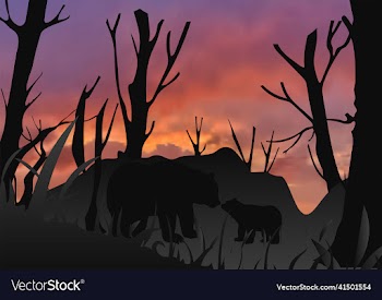 silhouette mother bear and daughter at the forest