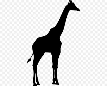 Silhouette Northern giraffe Clip art - Silhouette 