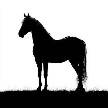 Silhouette of a Friesen Horse on White Background