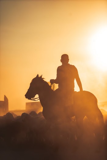 Silhouette of a Man Riding a Horse