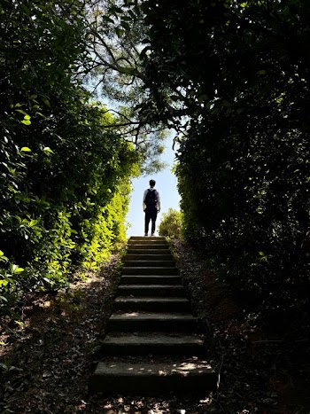 Silhouette of a Person on a Garden Path