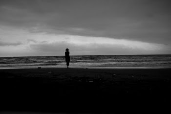 Silhouette of a Person Standing on Shore · Free Stock Photo