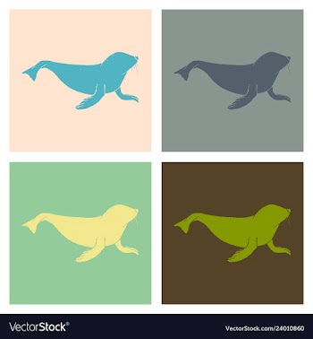 Silhouette of a sea lion icon on the white vector image