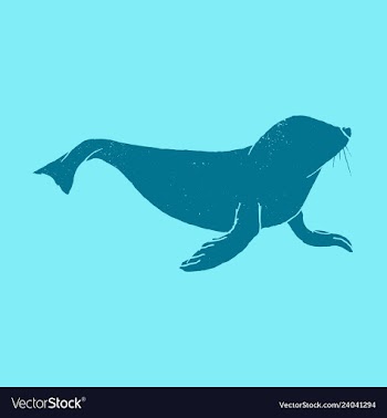 Silhouette of a sea lion icon on the white vector image