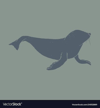 Silhouette of a sea lion icon on the white vector image