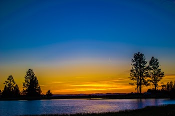 Silhouette of a Tree Beside Body of Water Under Blue and Yellow Sky during Sunset