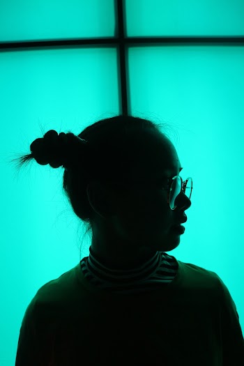 Silhouette Of A Woman 