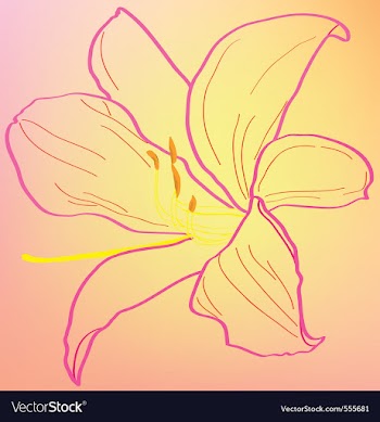 Silhouette of an abstract pink lily vector image
