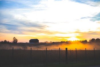 silhouette of barn during sunset