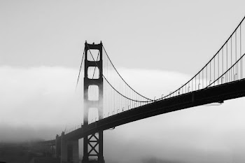 silhouette of bridge covered by mist